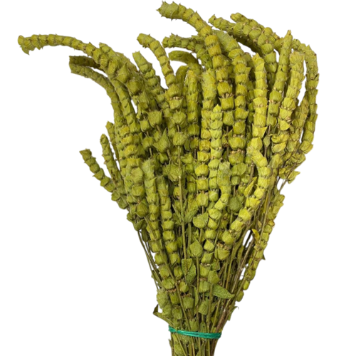 ieg™ Yayla Çayı 1KG