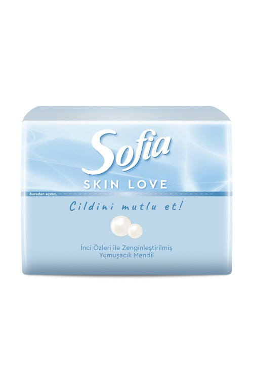 Skin Love Mini Mendil 75'Li