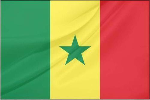 Senegal Devlet Bayrağı (50x75 cm)
