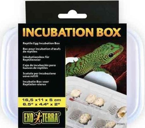 Incubation Box