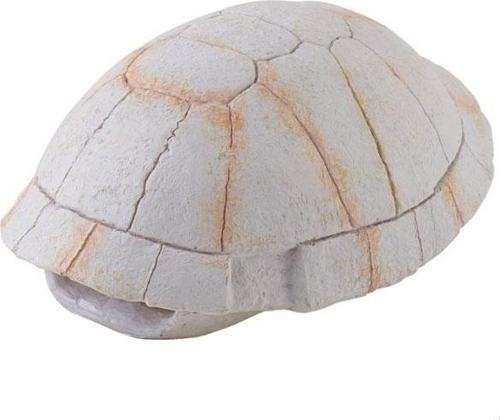 Kaplumbağa Kabuğu