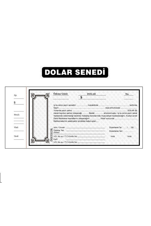 DOLAR Senet Karnesi (20 Yaprak)