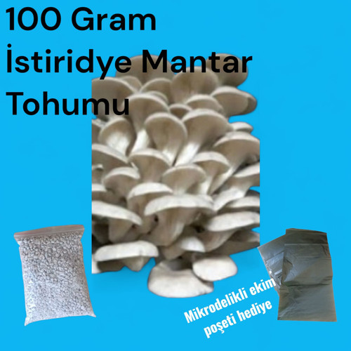 100 Gram İstiridye Mantar Tohumu