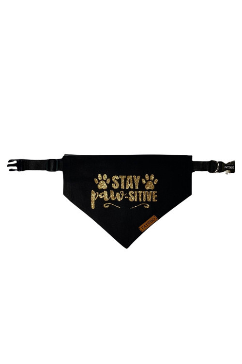Pawsitive Kedi Ve Köpek Tasma Fular Bandana