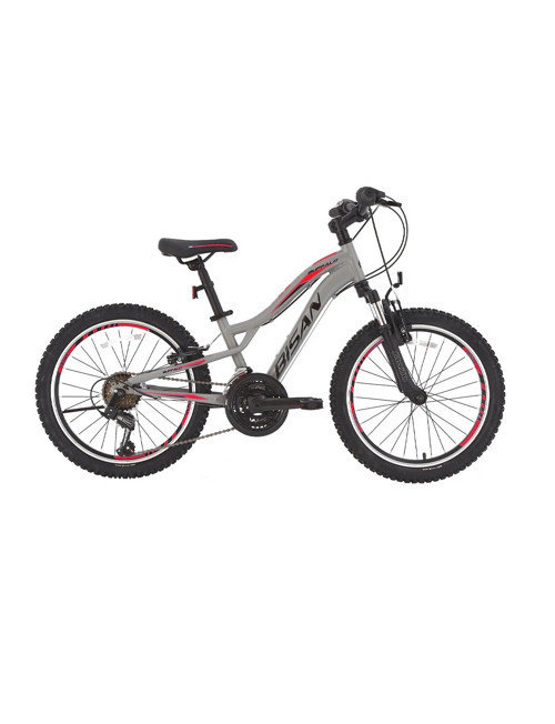 BUFFALO ERKEK ÇOCUK BİSİKLETİ 28CM V 20 JANT 18 VİTES METALİK GRİ SİYAH KIRMIZI