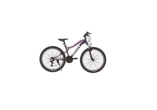 GAZELLE KADIN DAĞ BİSİKLETİ 35CM V 26 JANT 21 VİTES METALİK MOR AÇIK PEMBE