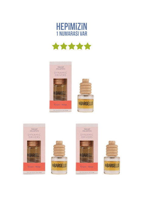 3x Karpuz-Mango Araç Parfümü 8 ml Dynamik Place