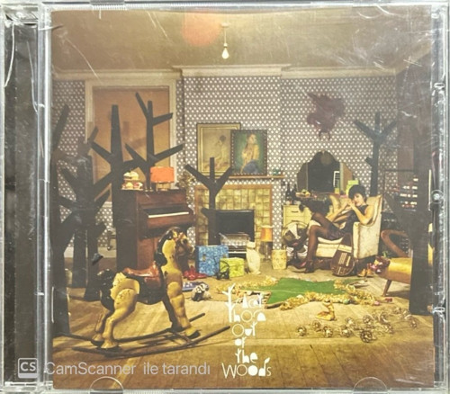 (Plak Değildir CD dir) CD Tracey Thorn Out Of The Woods CD