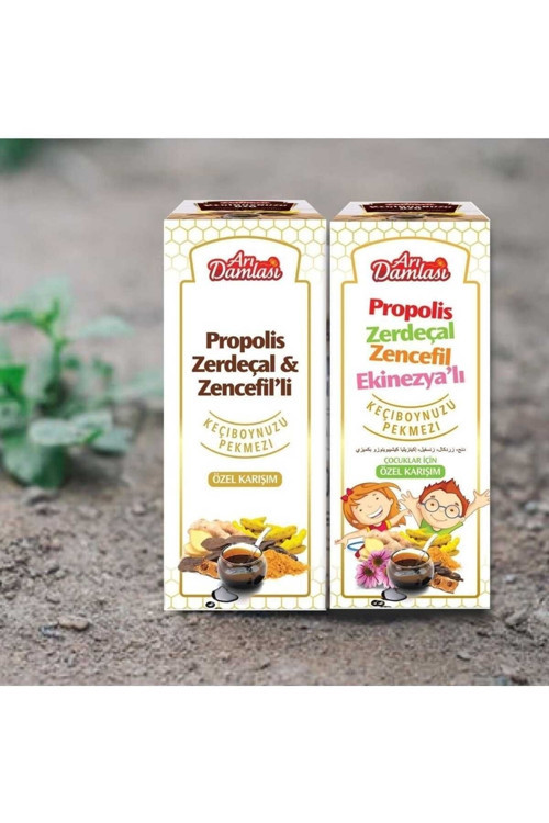 PROPOLİS ZERDEÇAL ZENCEFİL VE EKİNEZYALI ŞURUP 340 GR ( çocuk ve yetişkin )