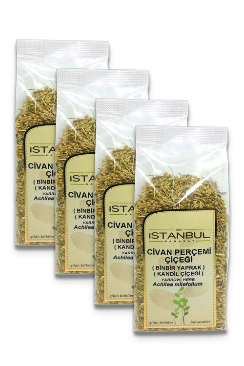 Civan Perçemi (Kandil Çiçeği) 4x50 gr