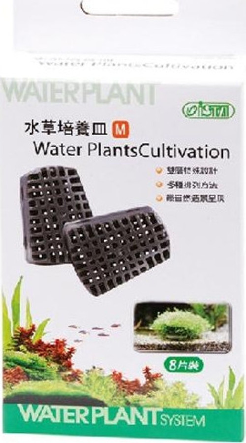 Moss Tabanı Orta Boy 8 Ad