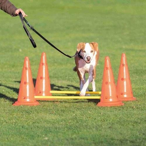 Köpek Agility Oyuncağı 2 Ad  30X50cm 100cm