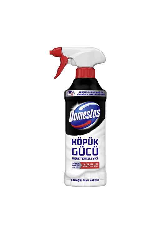 Köpük Gücü Derz Temizleyici 450 Ml