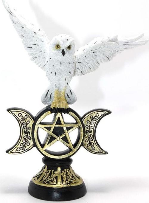 Polyester Baykuş Biblo