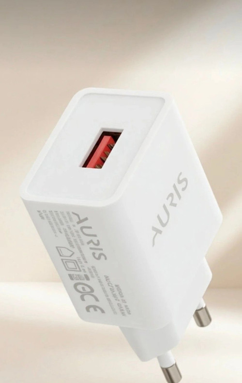 Auris CH28 Ev Kafa 2.4A – Beyaz USB Şarj Başlığı