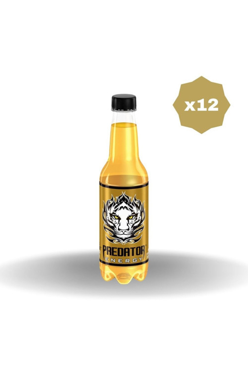 PREDATOR ENERJİ İÇECEĞİ 250 ML X 12 ADET