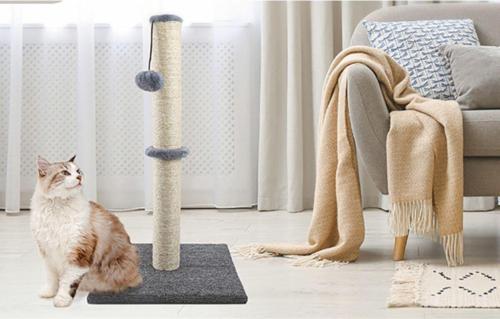 Xl Kedi Tırmalama