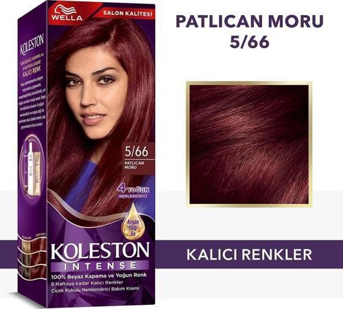 Intense Saç Boyası 5/66 Patlıcan Moru - Salon Kalitesi