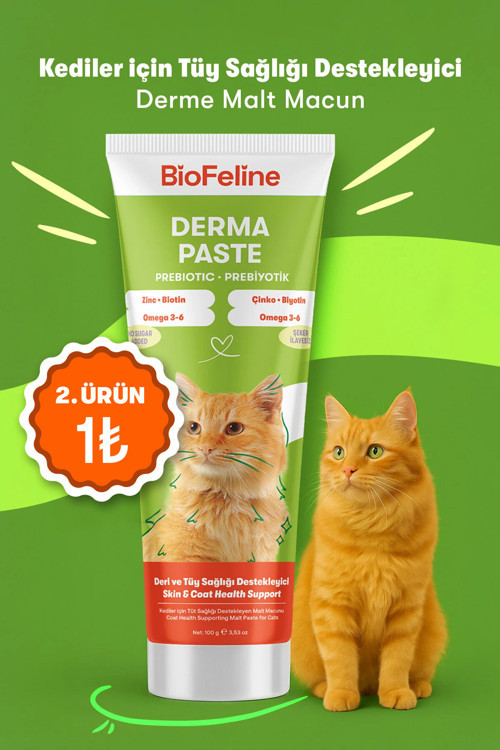 Tüy Dökülmesi Azaltıcı ve Deri Sağlığı Destekleyici Kediler İçin Derma Malt Macunu 100 ml