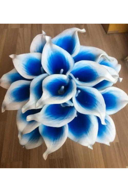 10 Adet Mavi-Beyaz Gala Zantedeschia Kala Cala Çiçeği Soğanı