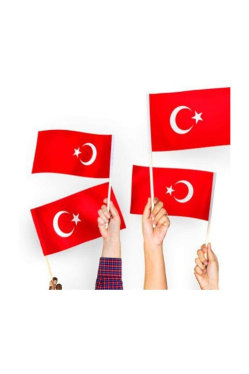 Türk Bayrağı Sopalı Bayrak 30x45cm 50 Adet