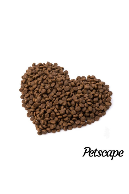 Sokak Kedileri İçin Dostluk Maması 1kg