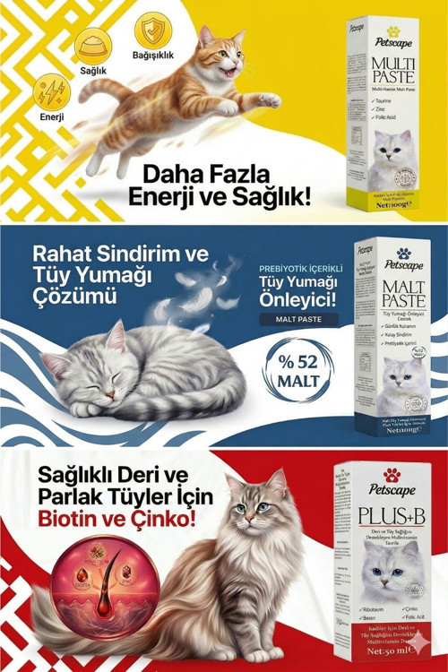 Multivitamin Macun + Malt Macun + Plus+B Damla ( Multi Paste + Malt Paste + Plus+B Damla )