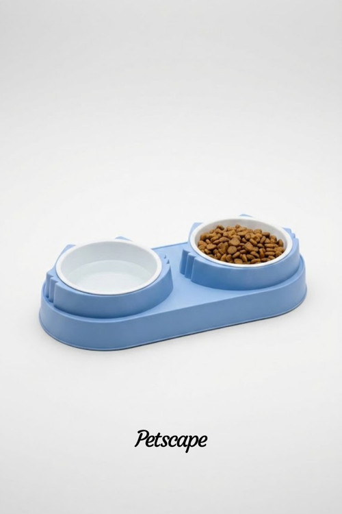 İkili Eğimli Yüksek Plastik Kedi Mama ve Su Kabı, Gıda Sınıfı Malzeme, Bıyık Temassız, Dostu