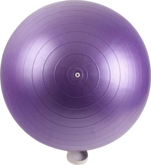 Pilates & Yoga Topu 25 cm Mor Renk