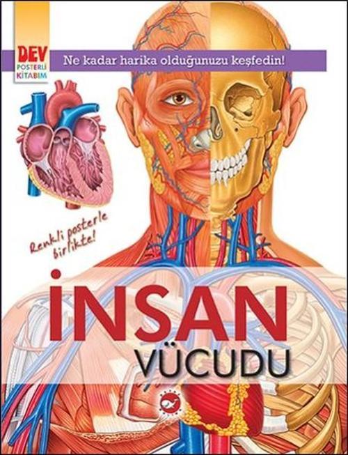 Beyaz Balina Yayınları İnsan Vücudu