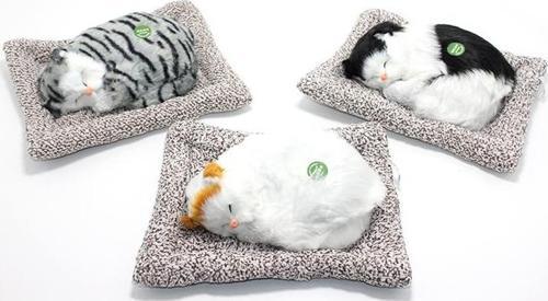Ses Çıkaran Yastıkda Uyuyan Kedi Met163