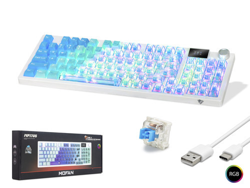 MF1705M Kablosuz Mekanik Gaming Klavye Blue Switch RGB 95 Tuş Mavi Beyaz