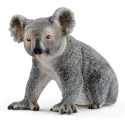Koala 481348