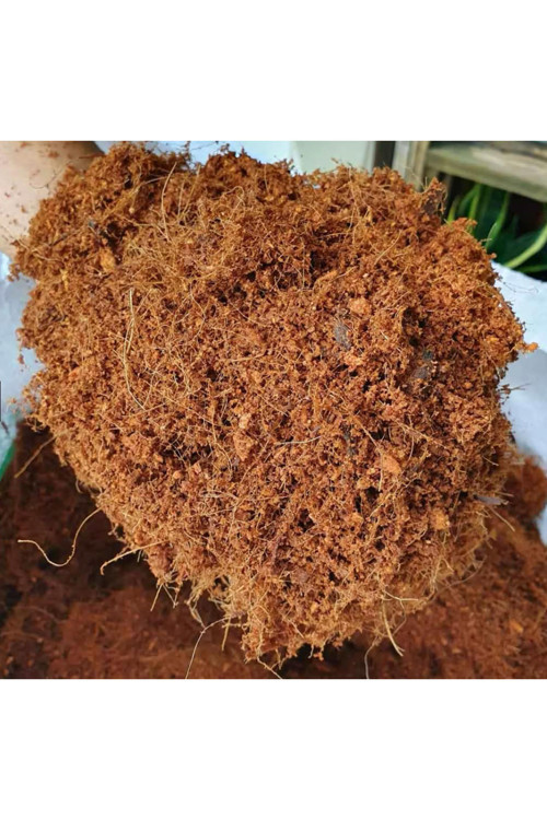 Sıkıştırılmış Cocopeat (Kokopit) Hindistan Cevizi Torfu Blok 5Kg