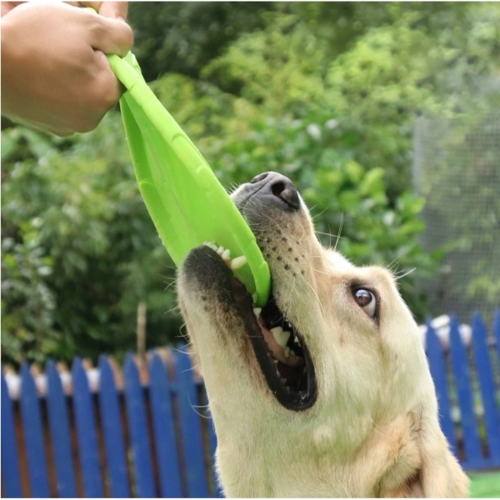 SİLİKON FRİZBİ KÖPEK OYUNCAĞI