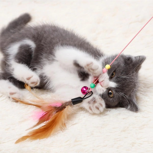 KEDİ OYUN OLTASI 90 CM