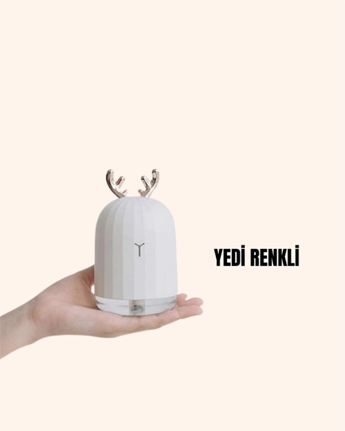 ABS+PP MALZEMELİ TAŞINABİLİR 220 ML USB MİST NEMLENDİRİCİ