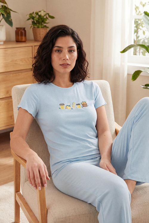 Regular Fit Desenli Bisiklet Yaka Kısa Kollu Bayan Pijama Takımı 65770823 MAVİ