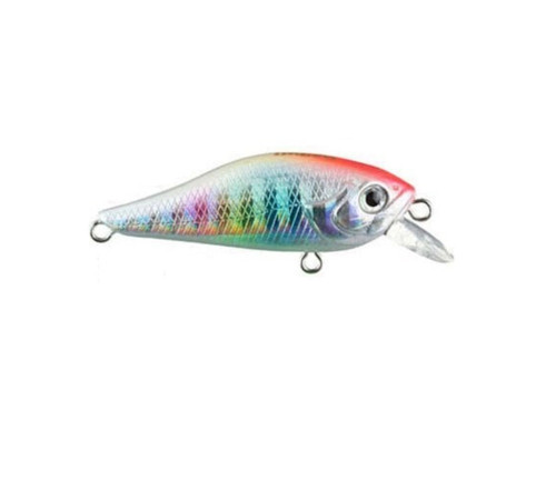 Fury Shad 40F-Sr 2.4 G Renk:004