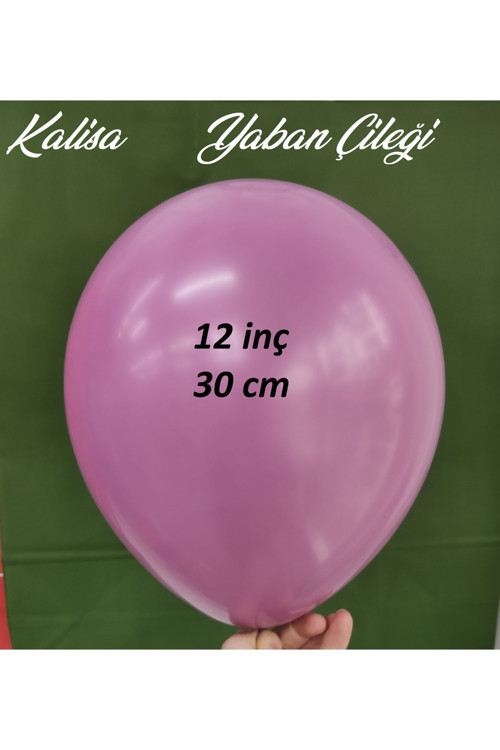 Retro Balon Yaban Çileği 10 Adet 12 İnç 30 Cm