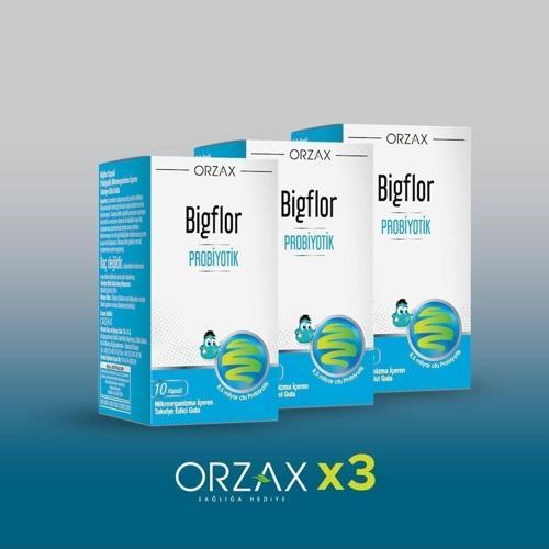 Ocean Bigflor Probiyotik 10 Kapsül x 3 Paket