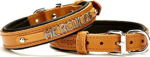 Konfor Deri İsimlikli Boyun Tasması 2X30-35Cm Camel