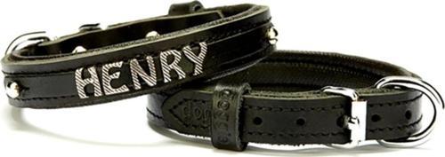 Petzanya Isimlikli Köpek Boyun Tasması 1,5x20-25cm - Black