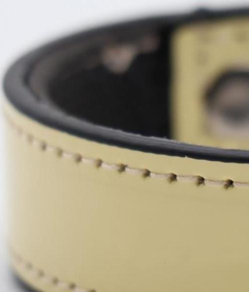 Rugan Yumuşak Dokulu Köpek Boyun Tasması Sarı 2,5x40 Cm