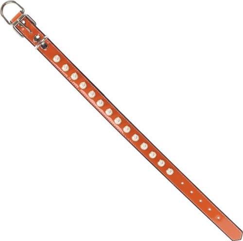 Turuncu İncili Destekli Boyun Tasması 2x40 Cm