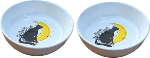 2'li Yıkanabilir Seramik Mama Ve Su Kabı 14 Cm 250 Ml no:5
