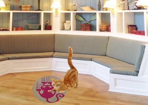 Desenli Çift Taraflı Kedi Tırmalama Paspası  Yuvarlak Pink 36*36 cm