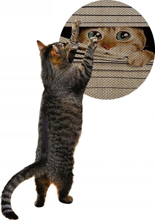 Desenli Çift Taraflı Kedi Tırmalama Paspası  Yuvarlak Watch 36*36 cm