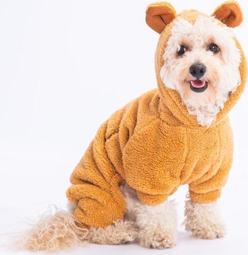 Kahverengi Koala Küçük Irk Peluş Tulum Köpek Tulumu Köpek Kıyafeti Kedi Kıyafeti - L