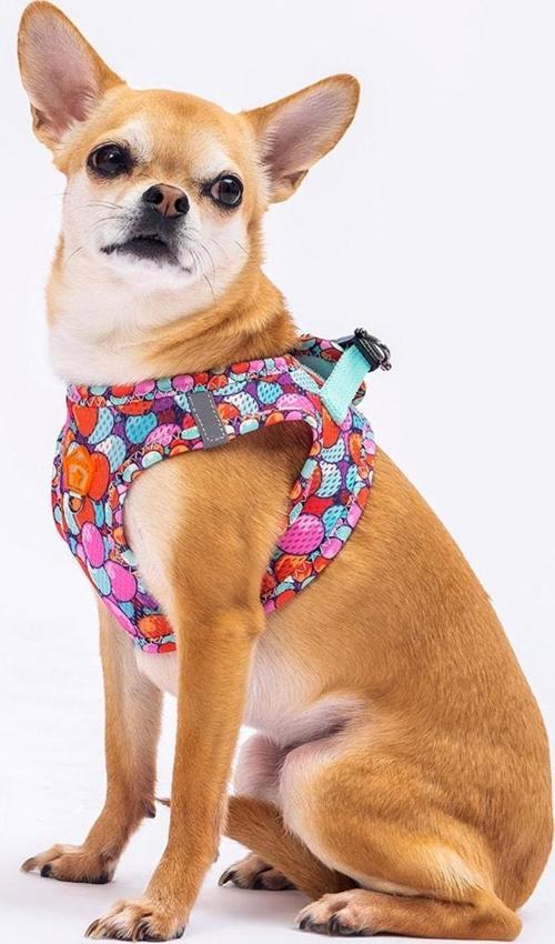 Balloons Air-mesh Göğüs Tasması Kedi Köpek Göğüs Tasması 2XSmall